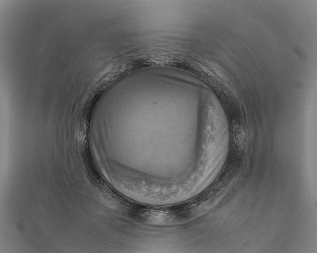 X0000112090507200908181307