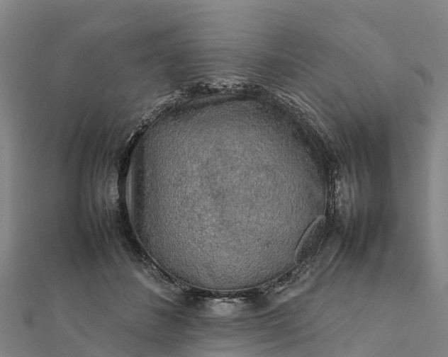 X0000112090508200908181307