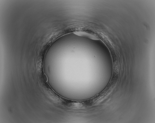 X0000112090509200908181307