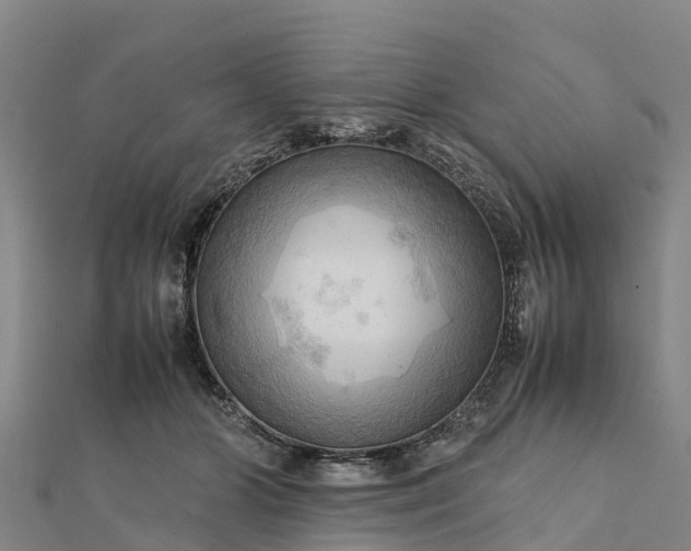 X0000112090510200908181307