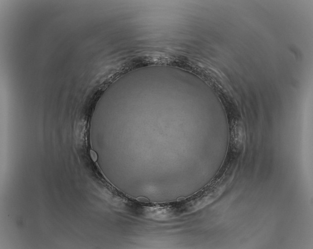 X0000112090511200908181307