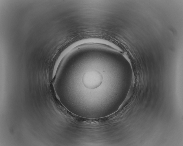 X0000112090512200908181307