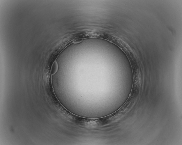 X0000112090513200908181306