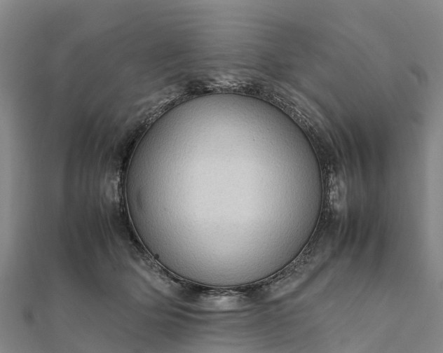 X0000112090514200908181306