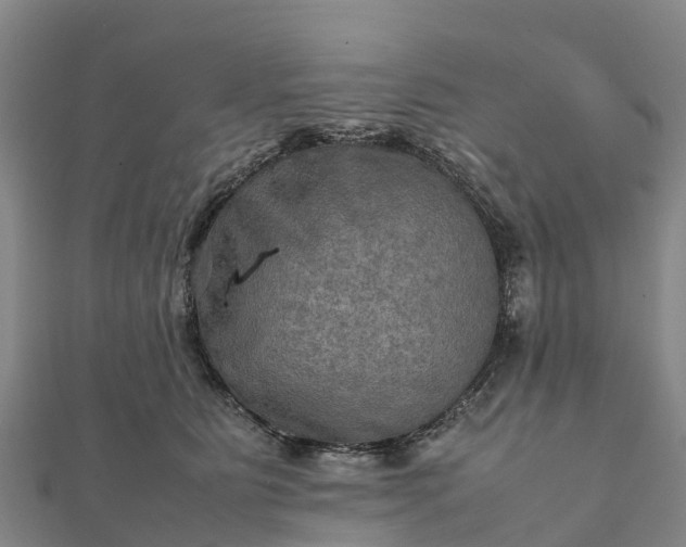 X0000112090515200908181306