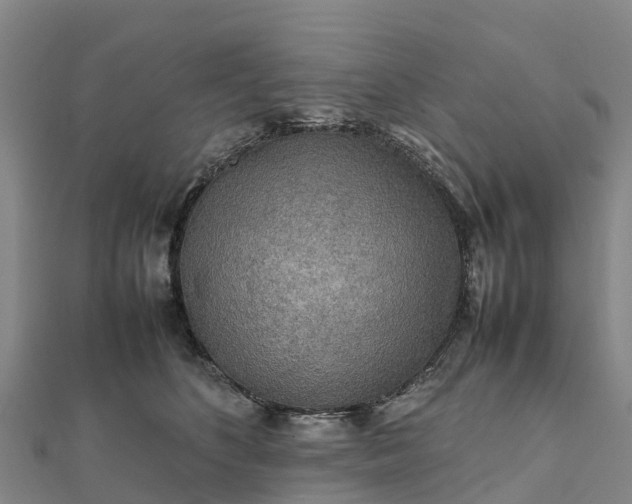 X0000112090516200908181306