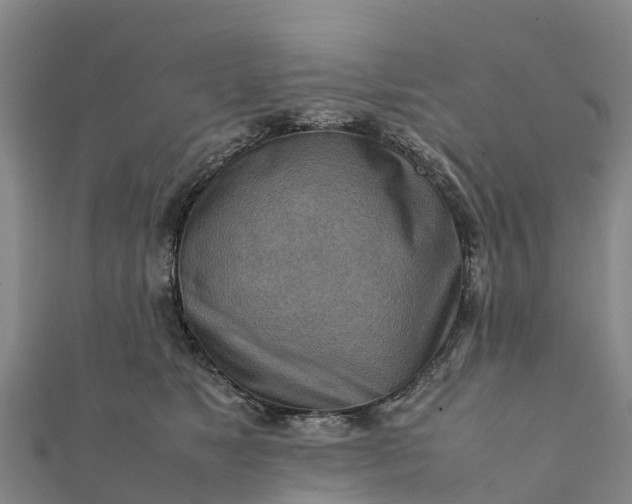 X0000112090517200908181306