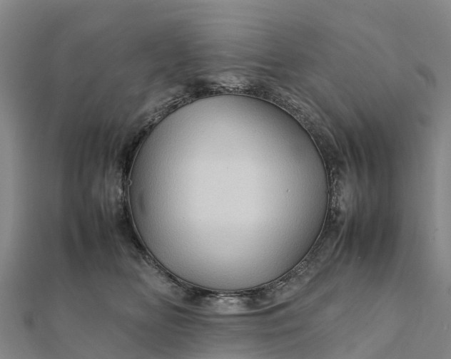 X0000112090518200908181306