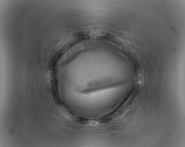 X0000112090519200908181306