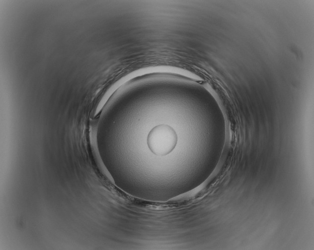 X0000112090520200908181306