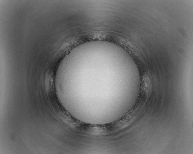 X0000112090522200908181306