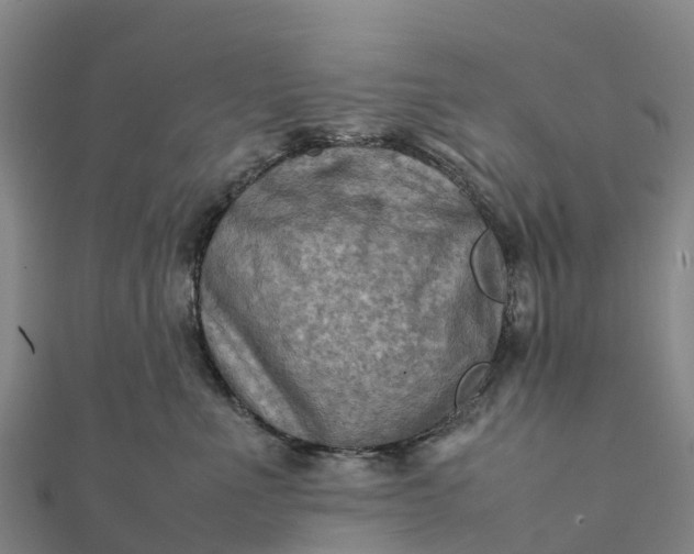 X0000112090523200908181306