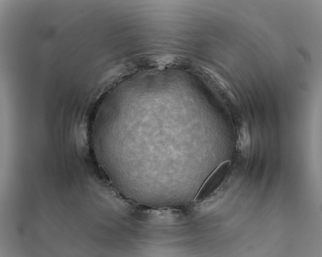 X0000112090524200908181306