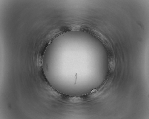 X0000112090525200908181306