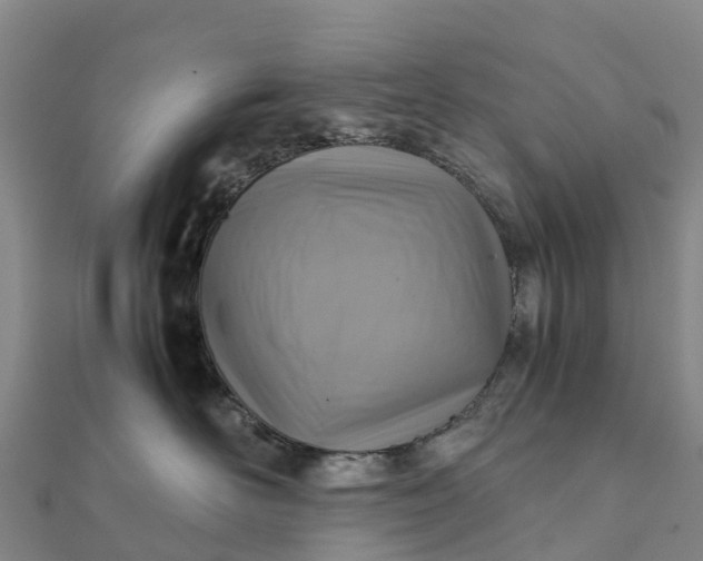 X0000112090526200908181306