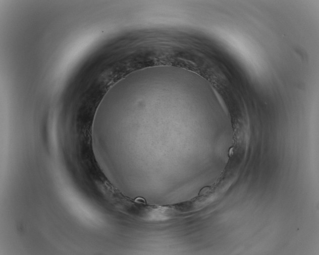 X0000112090527200908181306