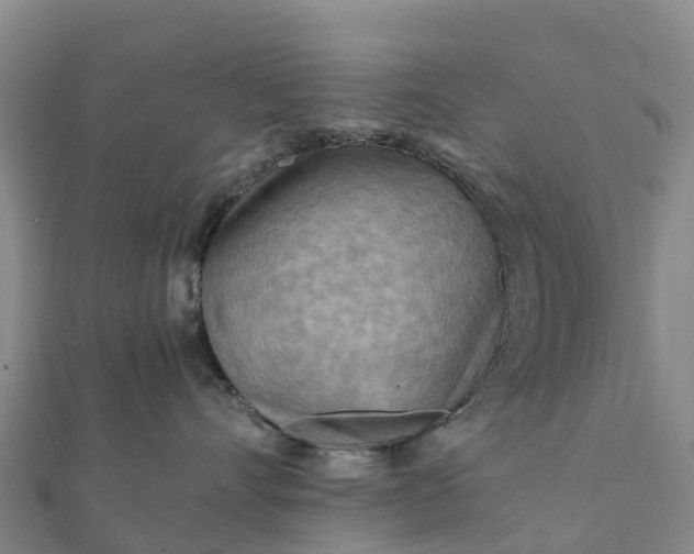 X0000112090528200908181306