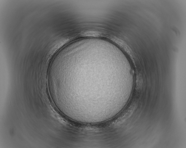 X0000112090529200908181306