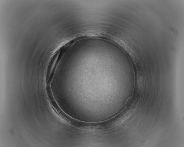 X0000112090530200908181306