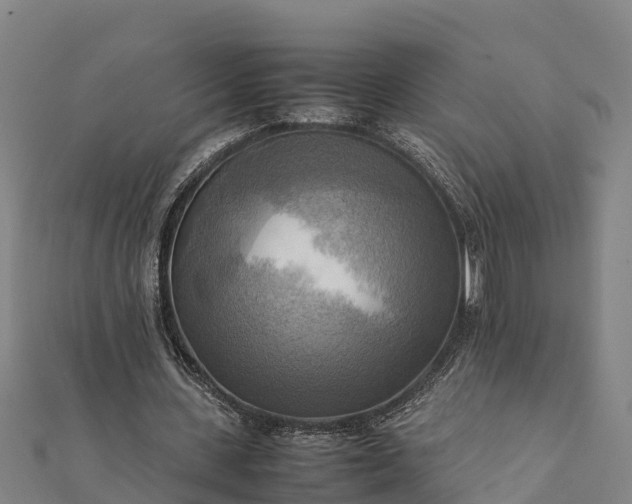 X0000112090531200908181306