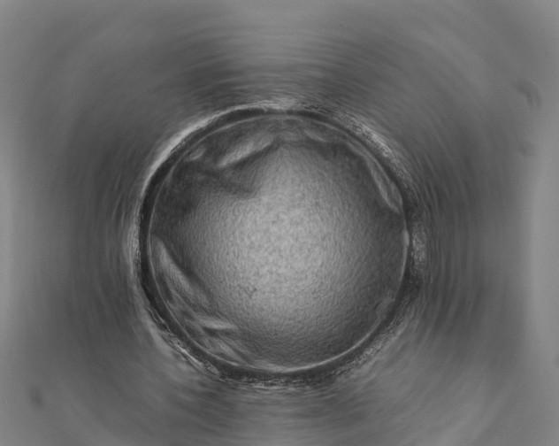 X0000112090532200908181306