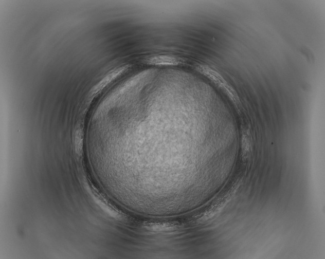 X0000112090533200908181306