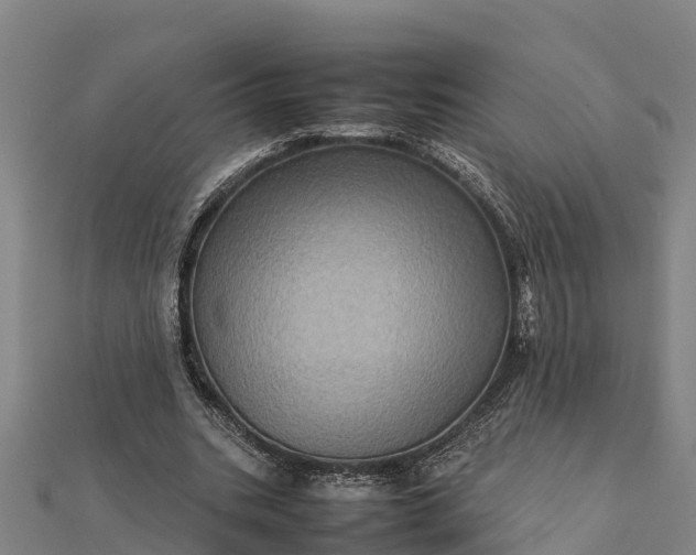 X0000112090535200908181306