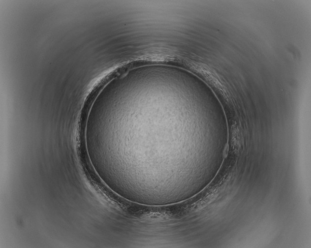 X0000112090536200908181306