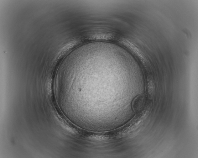 X0000112090537200908181306