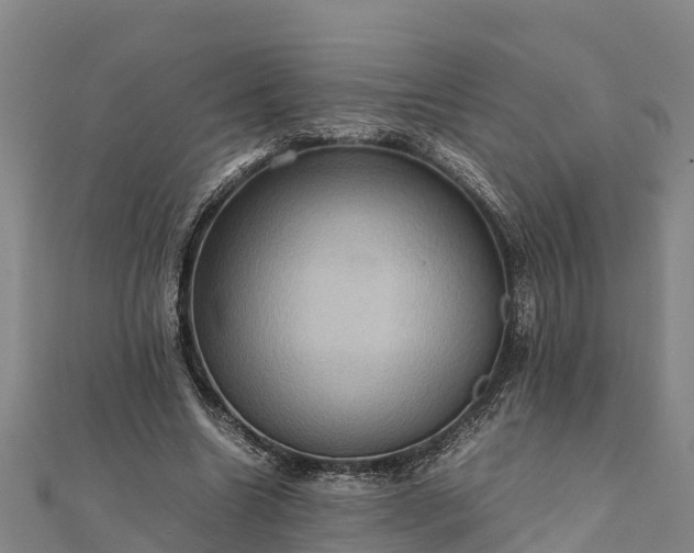 X0000112090538200908181306