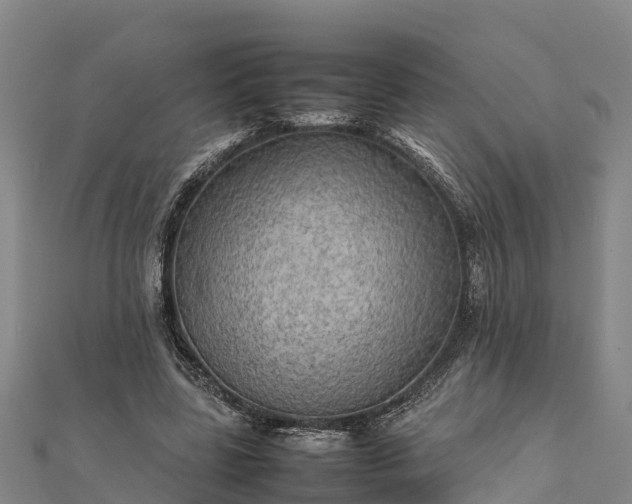 X0000112090539200908181306