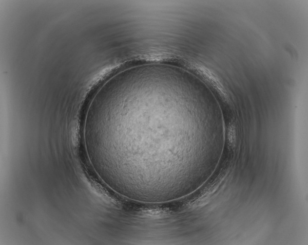 X0000112090540200908181306