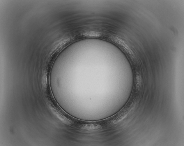 X0000112090541200908181306