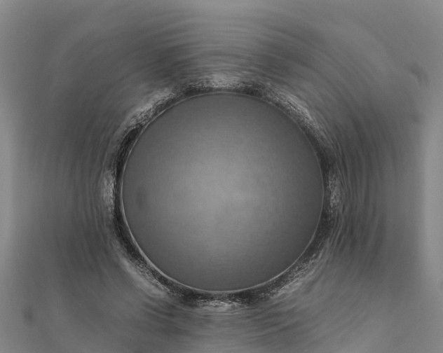 X0000112090542200908181306