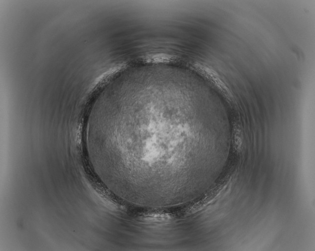 X0000112090543200908181306