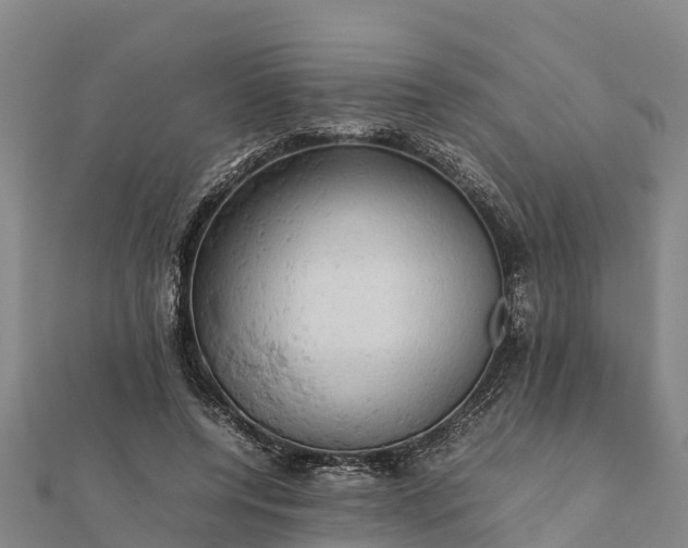 X0000112090544200908181306