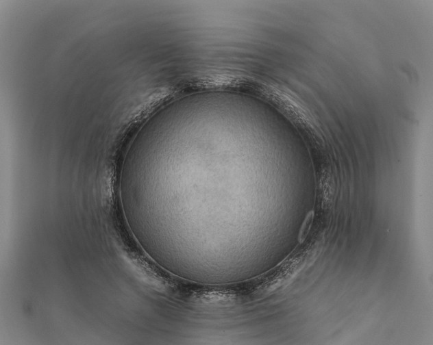 X0000112090546200908181306