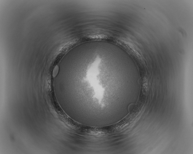 X0000112090547200908181306