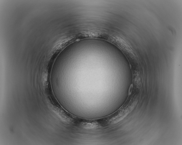 X0000112090548200908181306