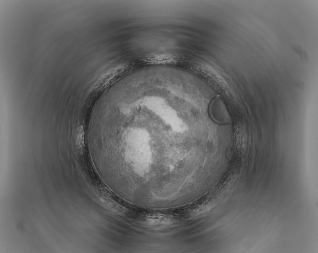 X0000112090549200908181306