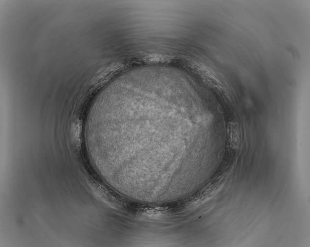 X0000112090550200908181306