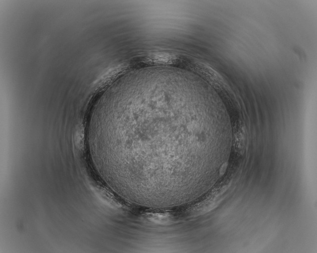 X0000112090552200908181306