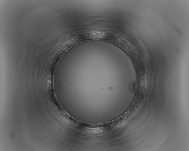 X0000112090553200908181306