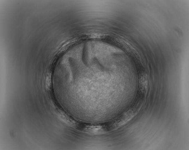 X0000112090554200908181306