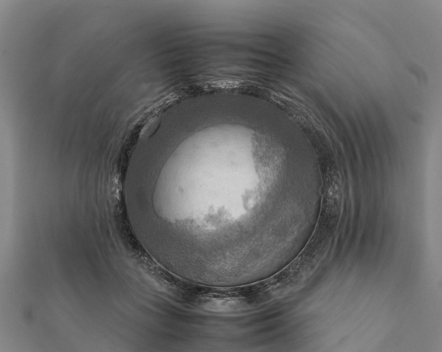 X0000112090555200908181306