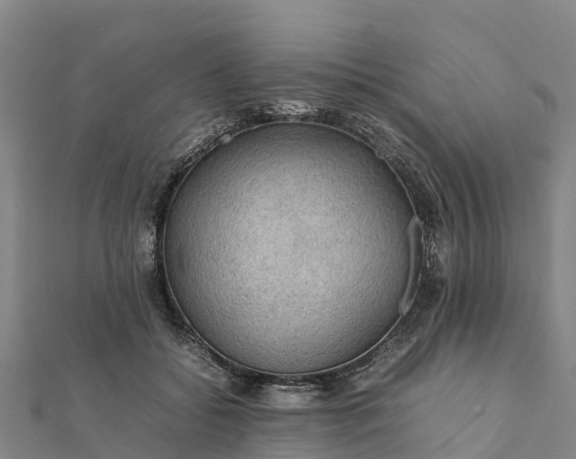 X0000112090556200908181306