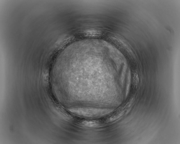 X0000112090557200908181306