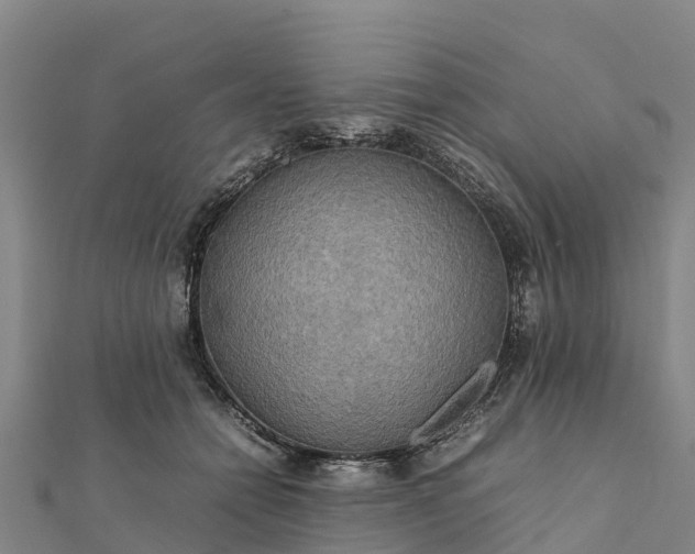 X0000112090558200908181306