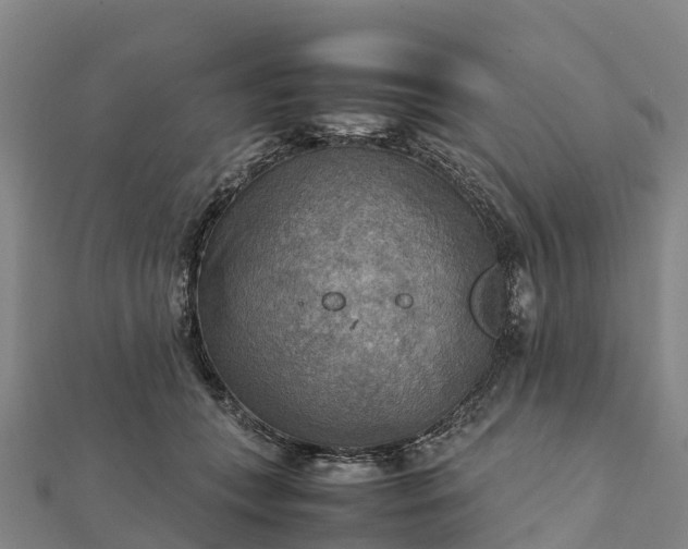 X0000112090559200908181306