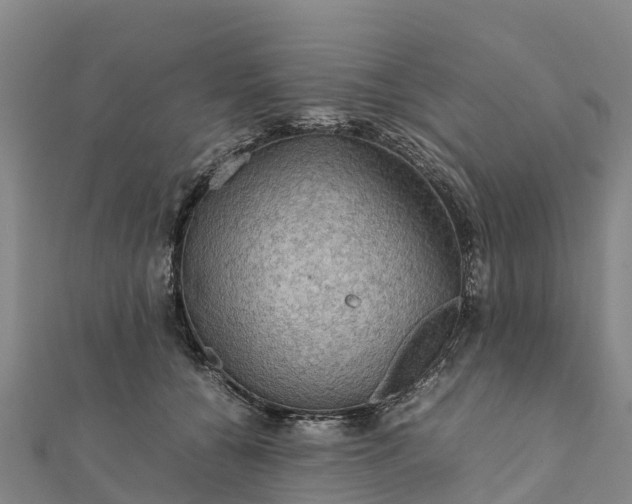 X0000112090560200908181306